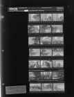 Reassignment meeting (21 Negatives), January 4-5, 1966 [Sleeve 12, Folder a, Box 39]